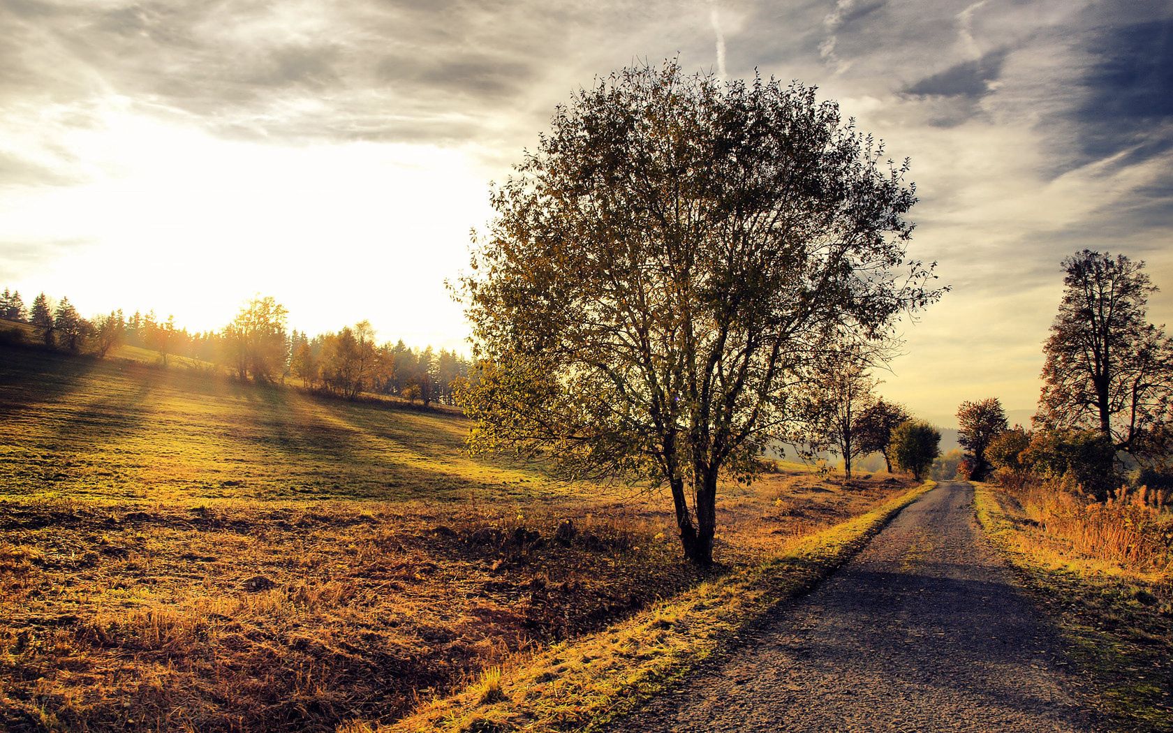 path, tree, slope, sun, beams, light, soil, colors, shadows