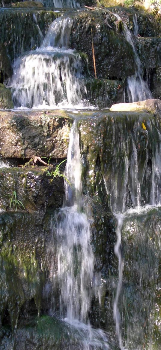 plates, stream, water, grass, shadows, stones, queen marys garden