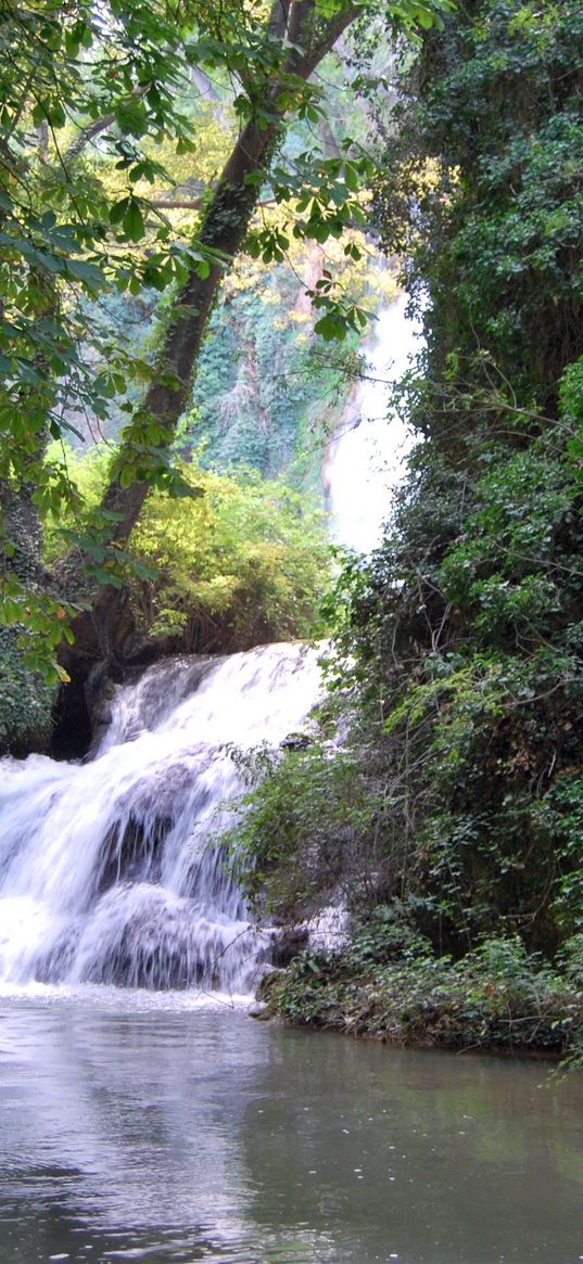 spain, aragon nuevalos, falls, wood, trees