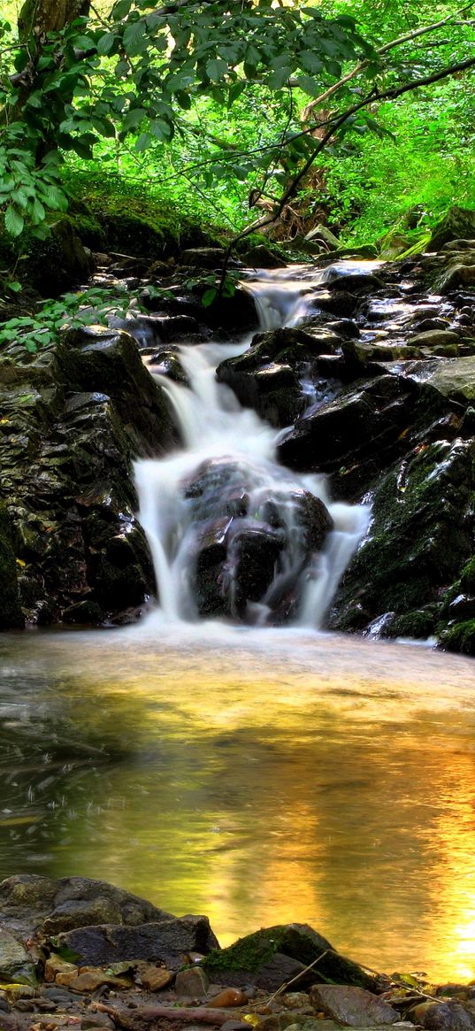 spain, aragon, torla, falls, wood, trees, stones, light, reflection