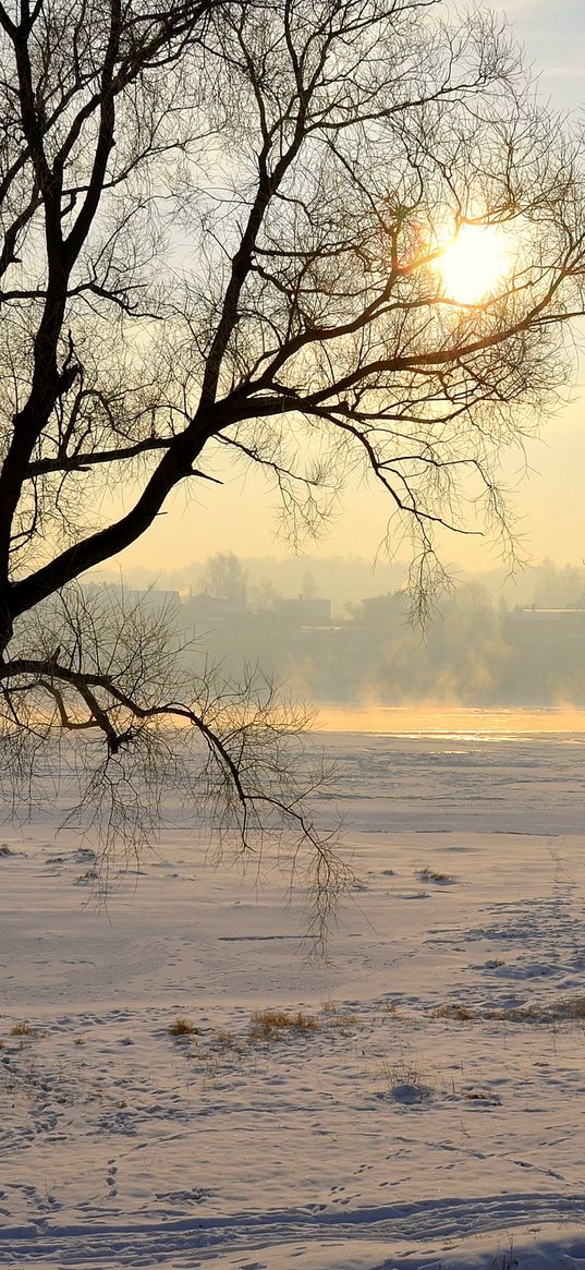 lithuania, kaunas, trees, snow, haze, glade, light