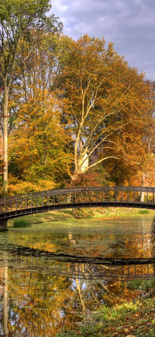 netherlands, bridge, river, autumn, trees, leaves