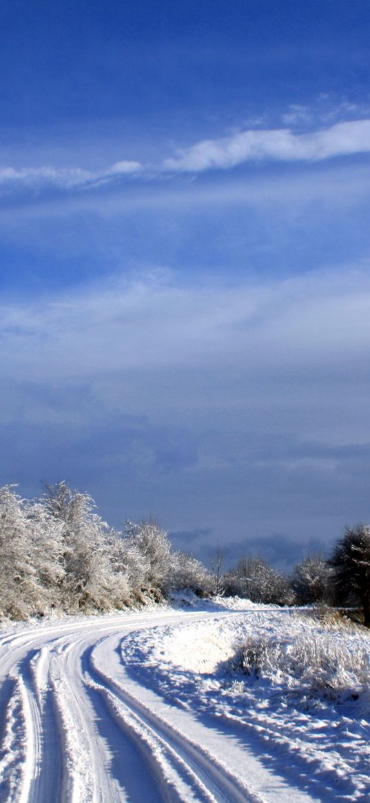 netherlands, road, trees, sky, clouds, snow, clearly