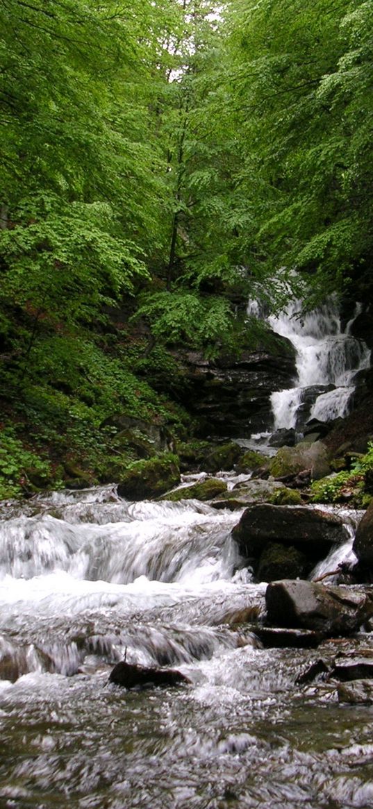 ukraine, zakarpatye, falls, river, mountain, stones, stream