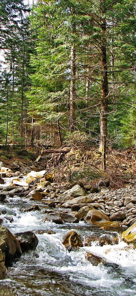 ukraine, carpathians, river, mountain, stones, wood