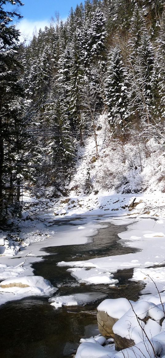 ukraine, carpathians, river, snow, trees, fir-trees, winter