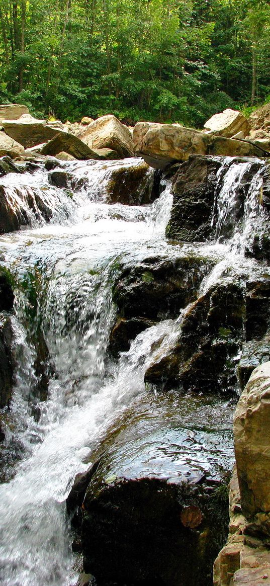 river, mountain, stones, ukraine, carpathians, stream, wood