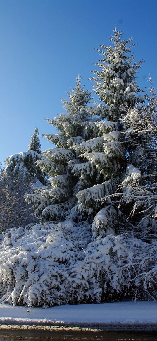 france, velizi-vilakubl, trees, snow, road, sign, light