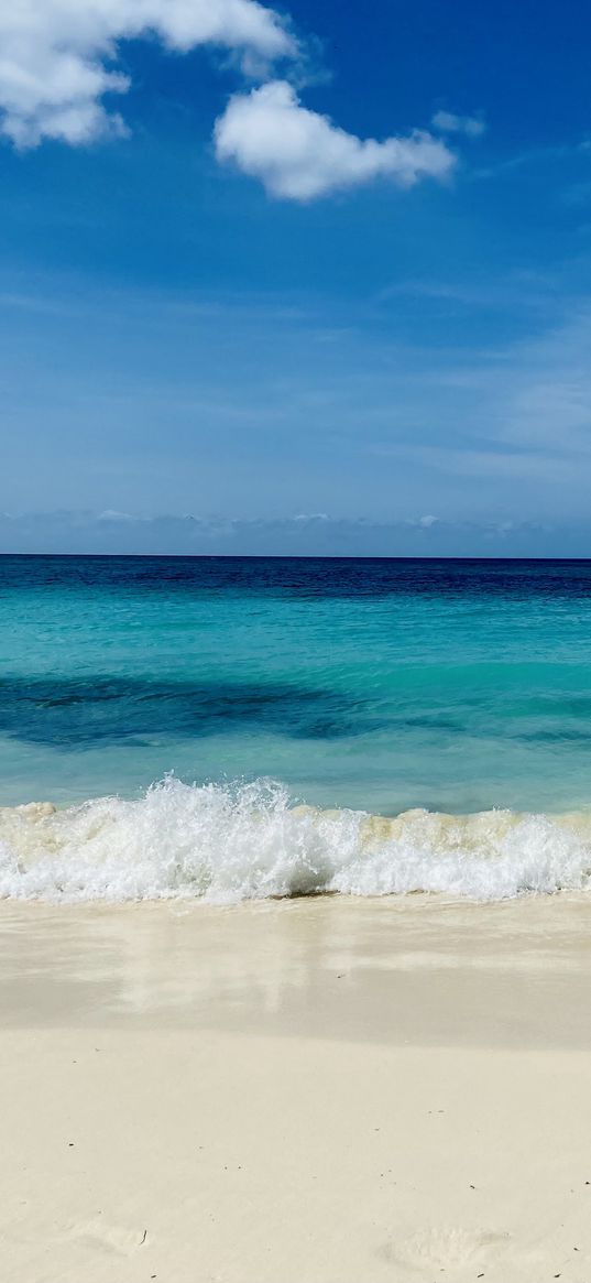 beach, ocean, summer