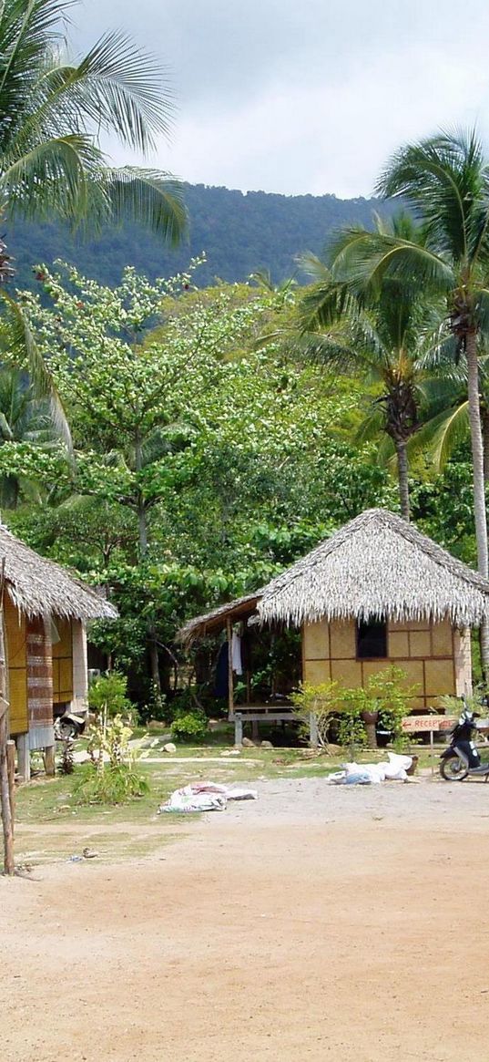 huts, palm trees, coast, beach, moped