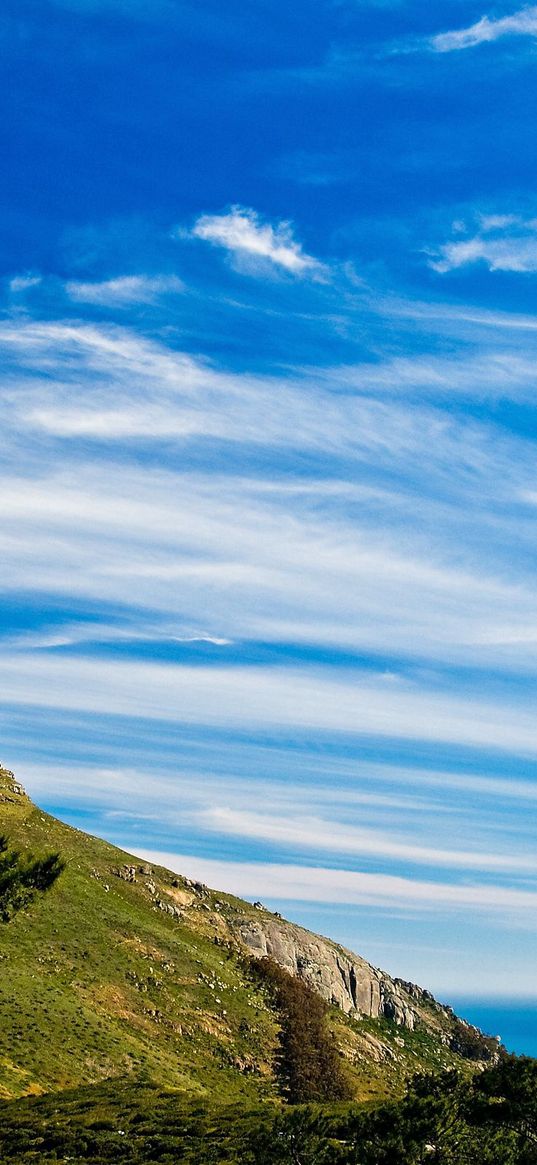 clouds, sky, blue, purity, mountain, trees, freshness