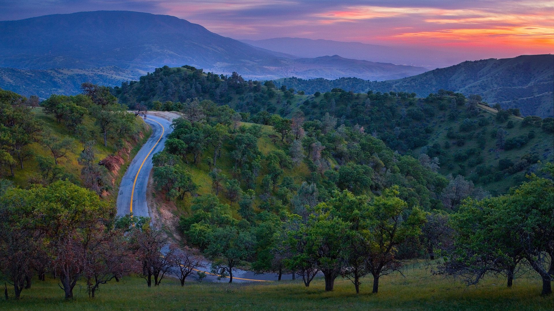 road, mountain, asphalt, relief, evening, decline, trees, look