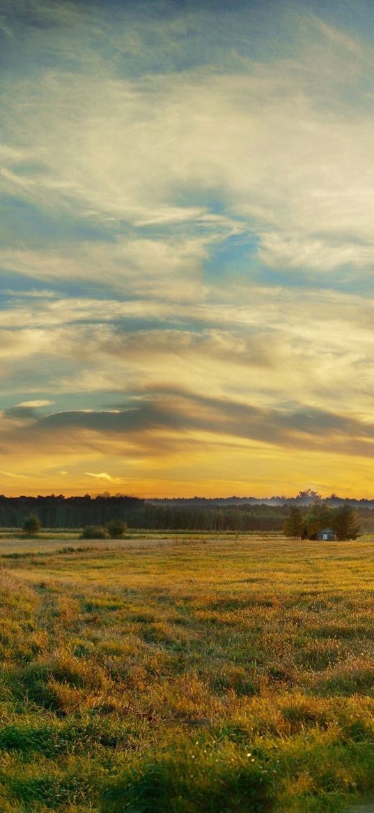 bicycle, field, clouds, silence, evening, decline, sky