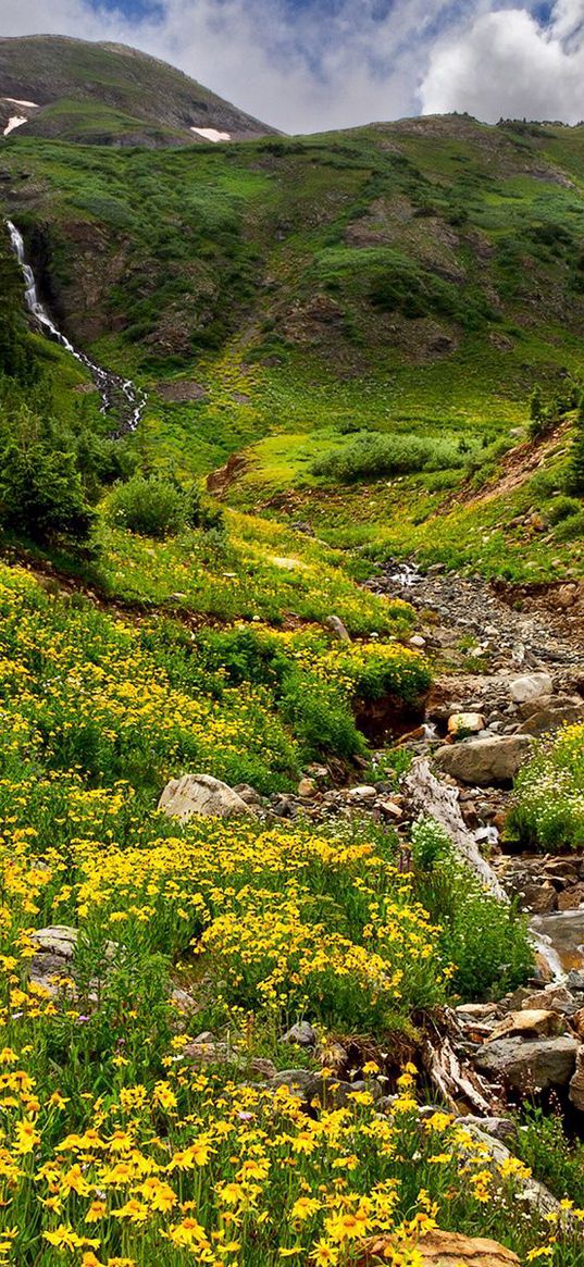 mountains, stones, streams, flowers, greens, murmur, grass, relief