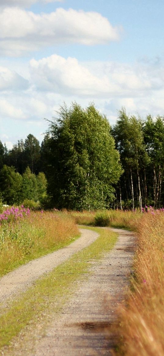 road, country, trees, flowers, roadside, sky, clouds