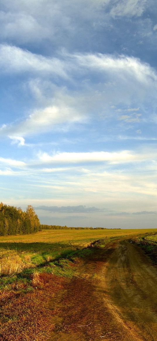 road, field, sky, clouds, blue, country, open spaces, trees, horizon, landscape