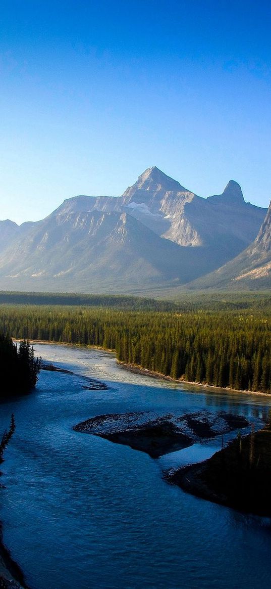 river, mountains, morning, wood, coniferous, freshness, haze