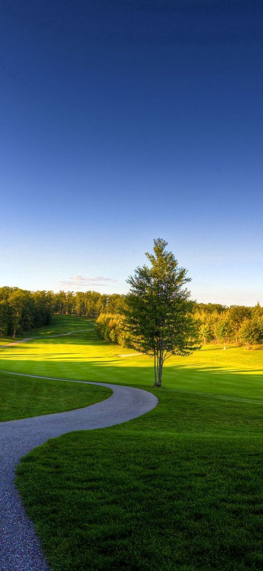 path, wood, tree, grass, shadow, greens, summer, reserve, open spaces, landscape