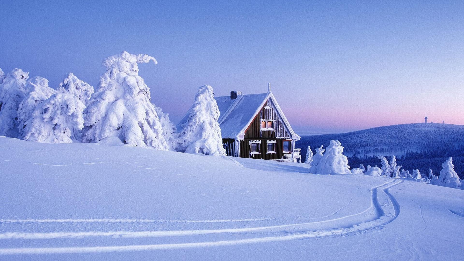 lodge, snow, traces, winter, cover, snowdrifts, fir-trees, weight, mountains