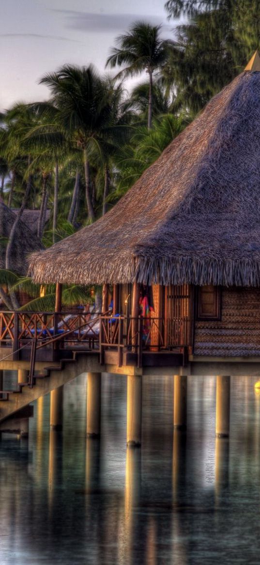 hut, lodge, tropics, water, palm trees, coast, razmytost