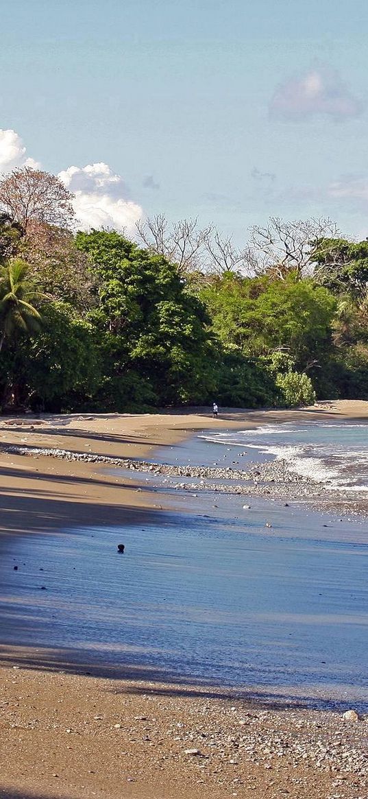 coast, palm trees, island, ocean, stones, beach, sand, wet, pebble, wave