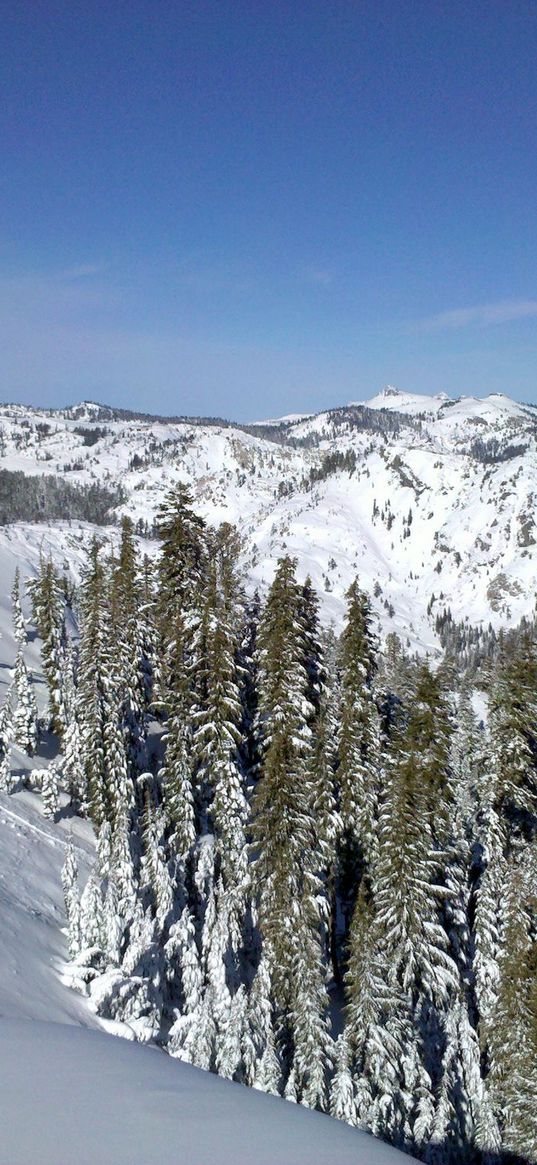 mountains, wood, lowland, snow, winter, sky, blue, ate