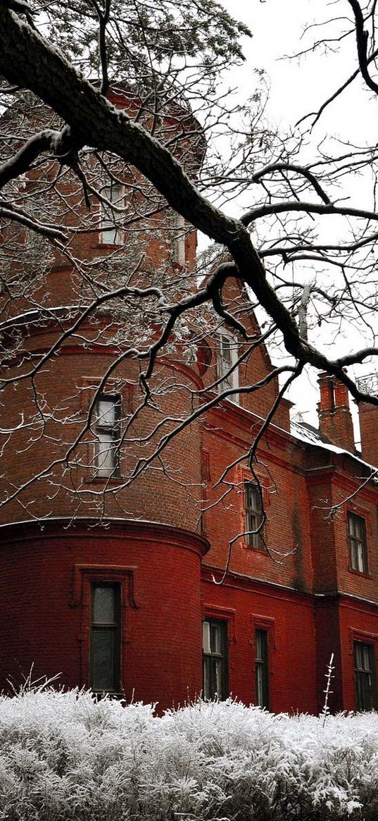 lock, structure, stone, branch, tree, snow, hoarfrost, bushes