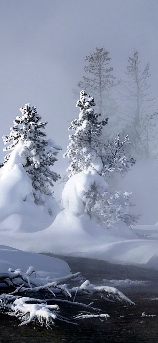 river, winter, snow, trees, roots, steam, fog