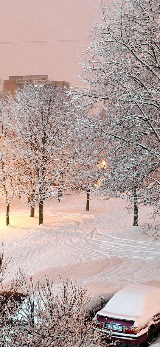 winter, snow, yard, car, trees, lamps, light