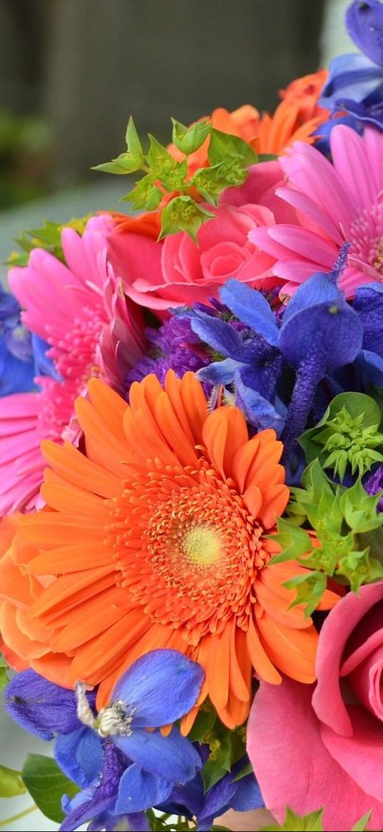 roses, gerbera, flowers, bouquet, colorful, combination