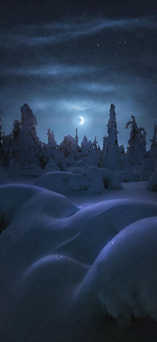 snowdrifts, snow, trees, forest, winter, moon, clouds, starry sky, night, nature