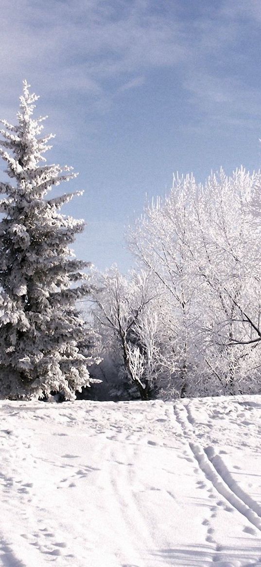 winter, trees, hoarfrost, ski track, traces, snow, sky, clouds, lifting