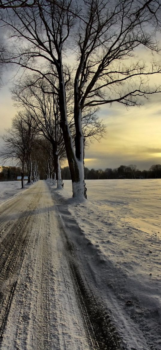 road, protector, winter, snow, crust, avenue, sun, sky, clouds