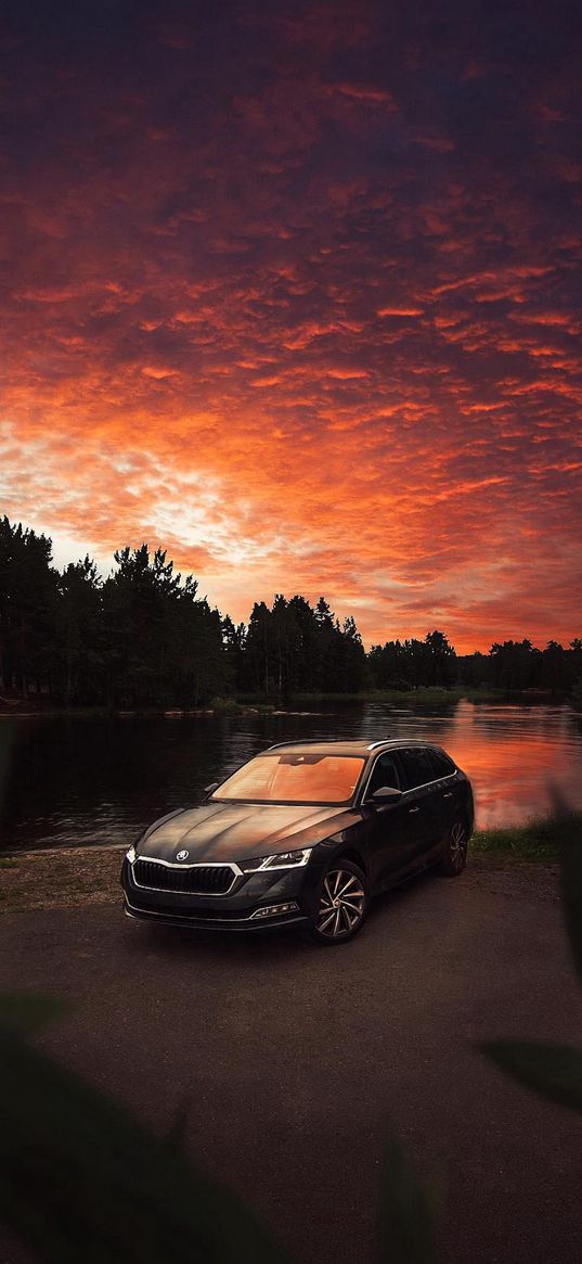 skoda, car, shore, lake, trees, forest, sunset, clouds, sky, nature