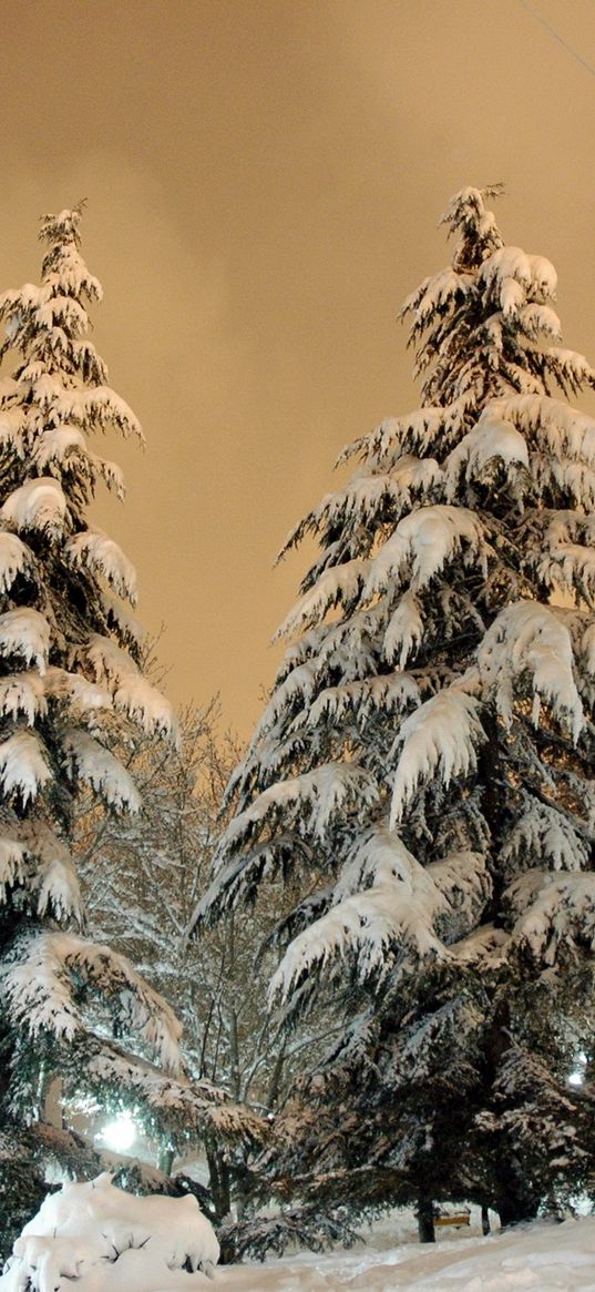 park, fir-trees, snow, light, lamp, sky, heavy, clouds, winter, snowdrifts, cover