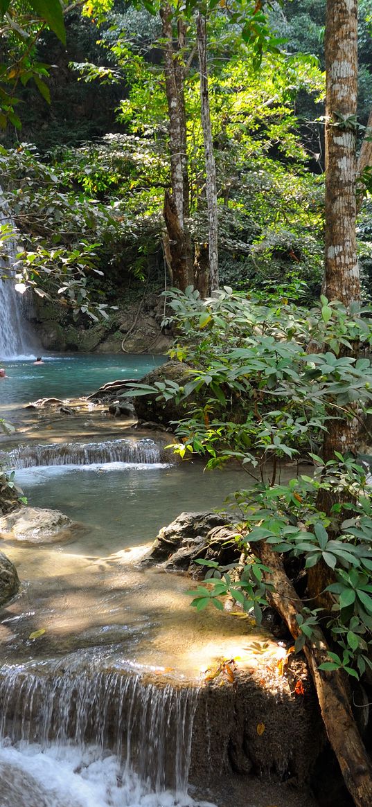 falls, river, current, vegetation, trees, bushes, shadow, stones, roots, streams