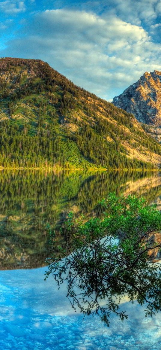 mountains, lake, reflection, mirror, clouds, brightly, sky, bush