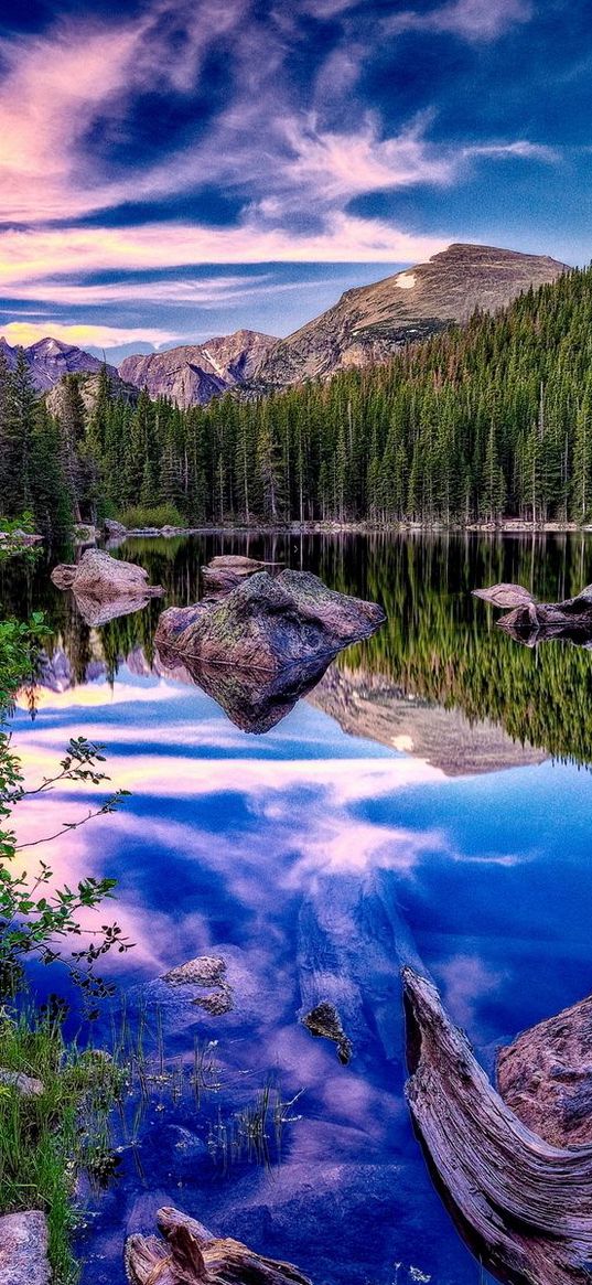 mountains, lake, wood, coast, reflection, mirror, clouds, brightly, sky, snag, stones, contrast