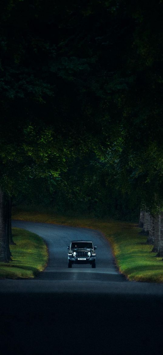 jeep, car, road, trees, forest