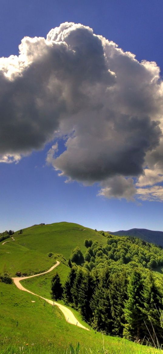 cloud, volume, sky, blue, track, mountains, landscape, clearly, wood, green