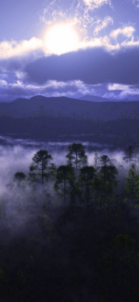 trees, fog, haze, clouds, sky, sun, light, terribly, wood