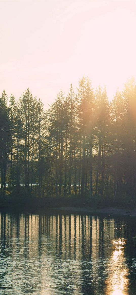 coast, arch, trees, lake, decline, sun