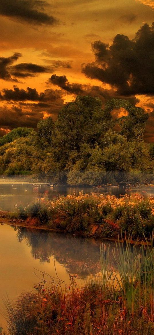 lake, vegetation, trees, bushes, sky, canes, blackness, terribly, clouds, colors