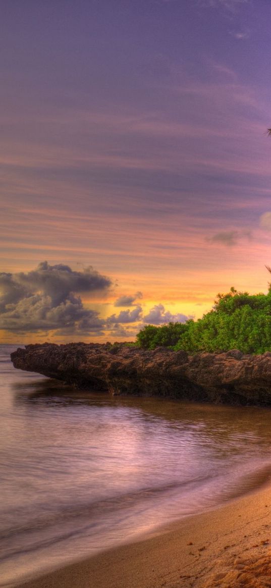 palm trees, coast, tropics, sand, beach, friable, decline, sky, clouds, horizon