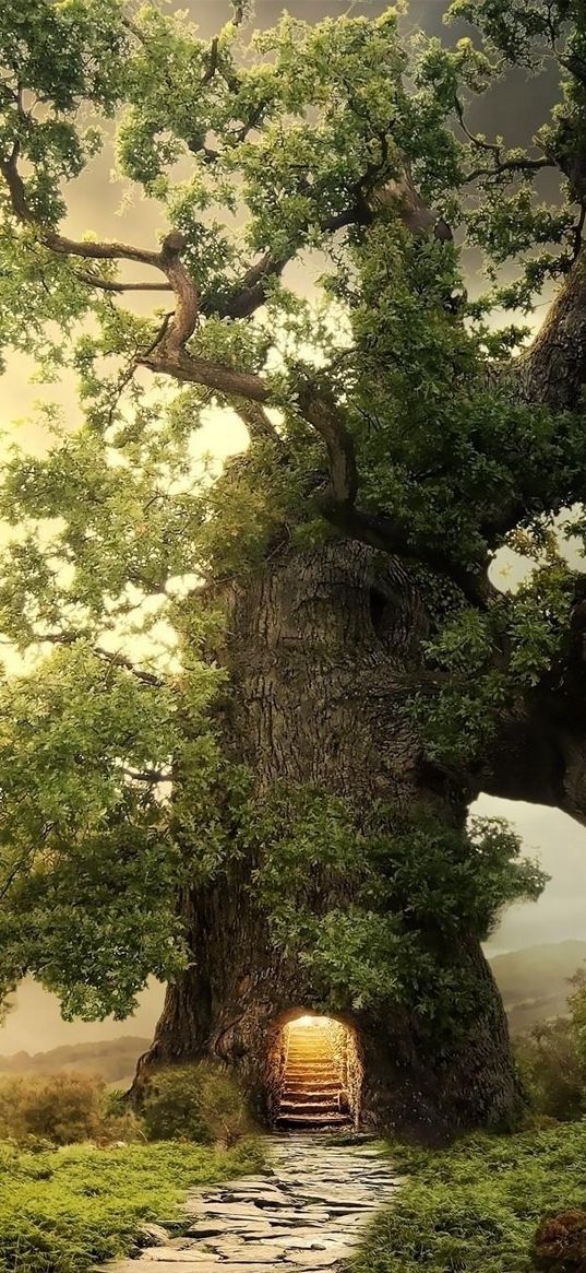 trees, green, entrance, stairs, planet