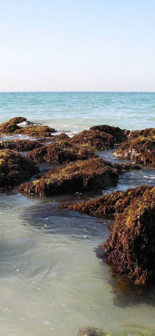 persian gulf, uae, dubai, sea, beach, rocks, waves