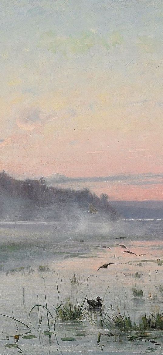 lake, wefts, fog, morning, painting, art, canes