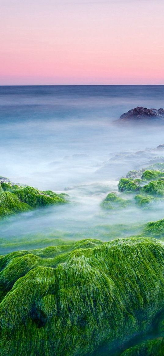 moss, stones, outgrowths, sea, haze, pairs, evaporation, cool