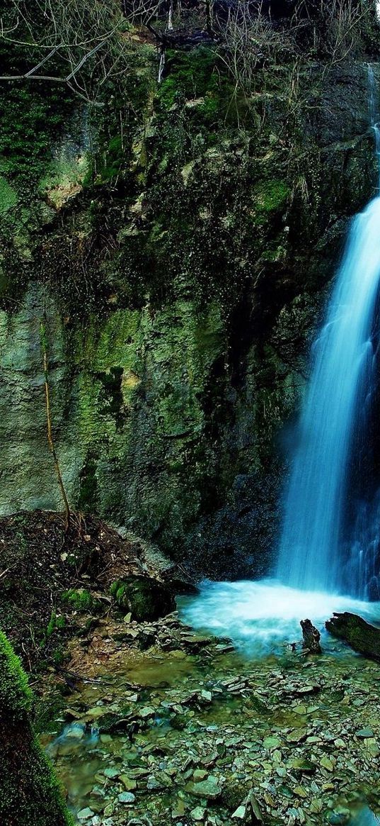 falls, gorge, rocks, moss, green, outgrowths, tree, stones