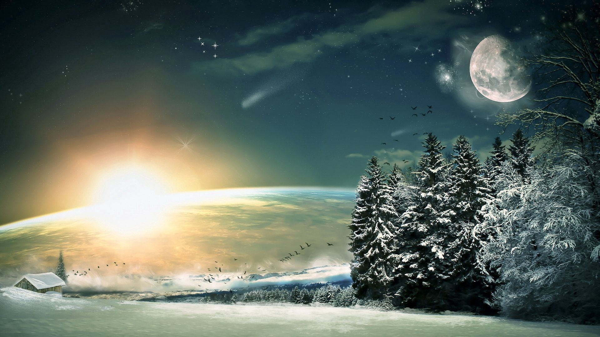 moon, fir-trees, birds, wood, sun, light, winter, snow, fantasy, stars, descent